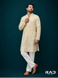 Crème Tissue Bird Kurta